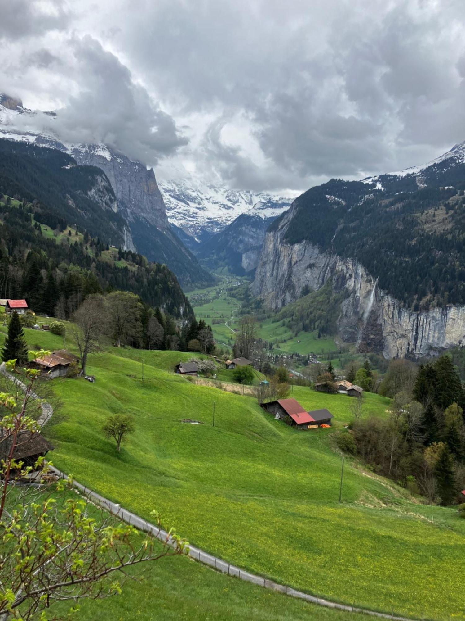 Chalet Alpina Gyger Wengen Esterno foto