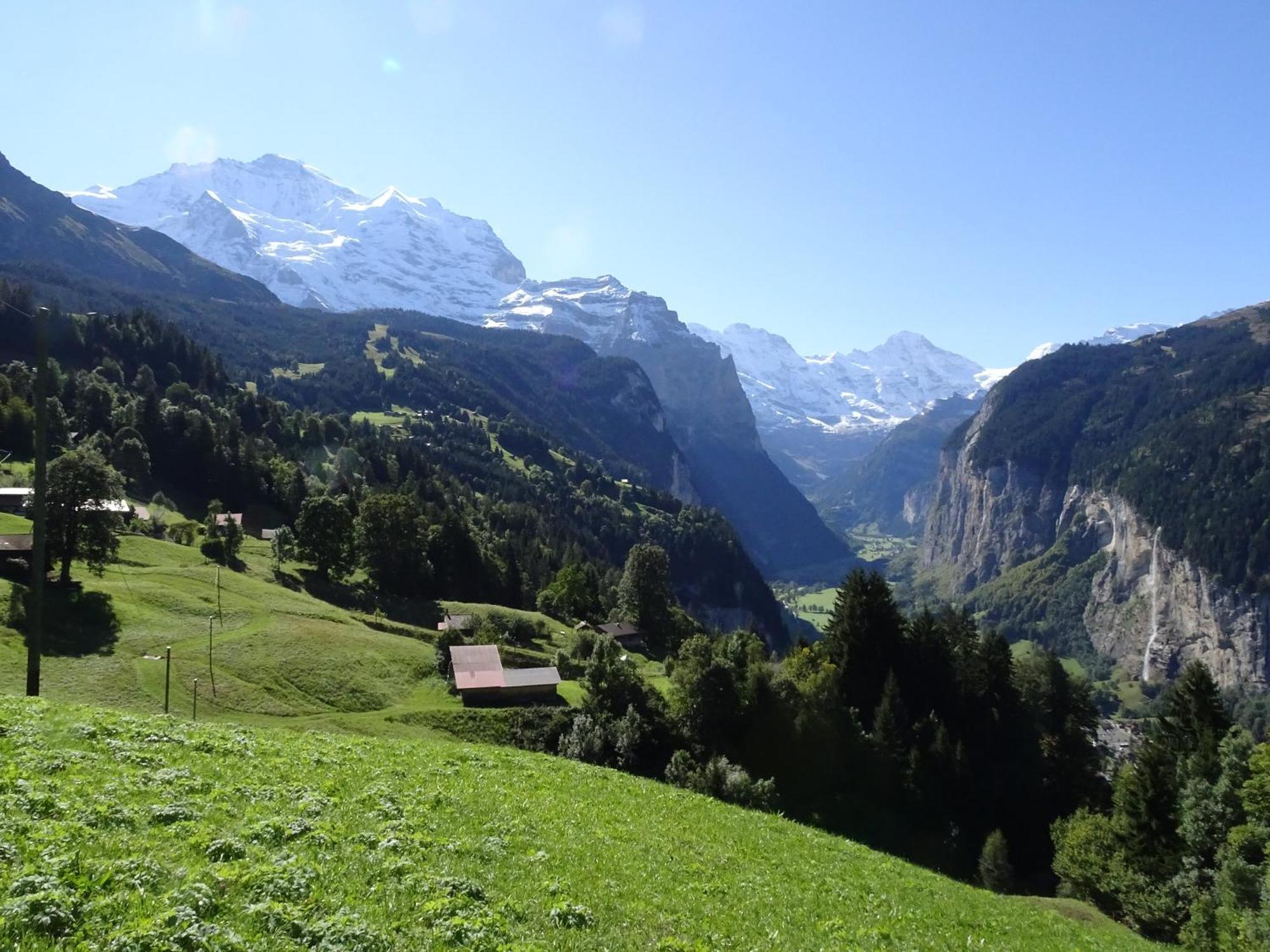 Chalet Alpina Gyger Wengen Esterno foto