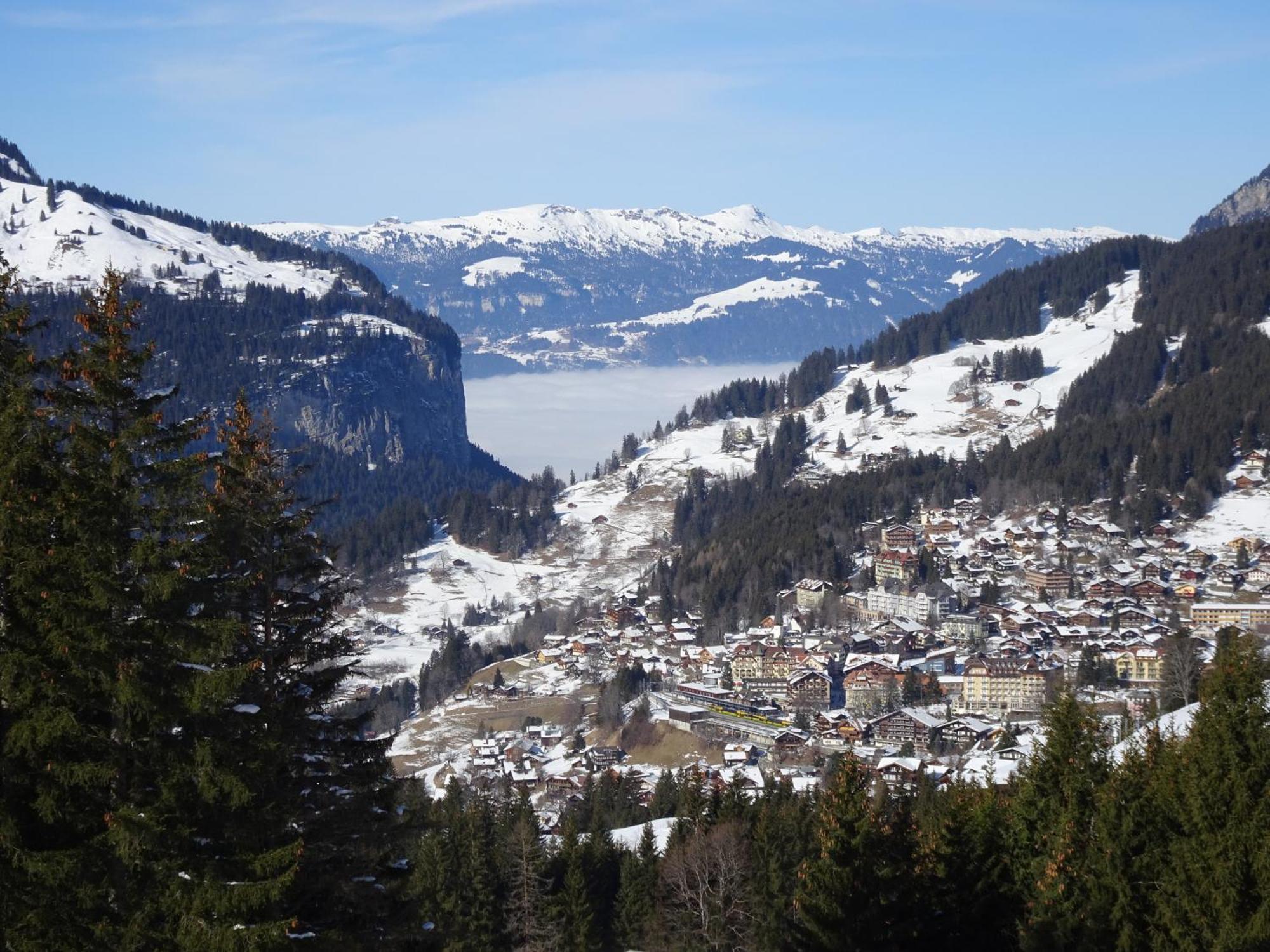 Chalet Alpina Gyger Wengen Esterno foto