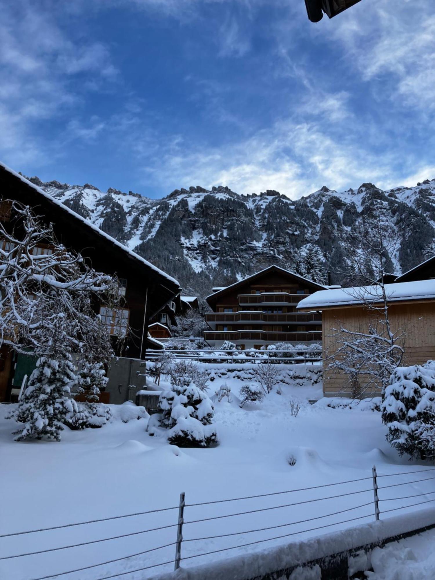 Chalet Alpina Gyger Wengen Esterno foto